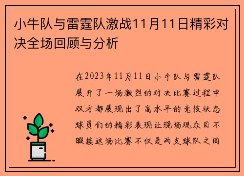 小牛队与雷霆队激战11月11日精彩对决全场回顾与分析